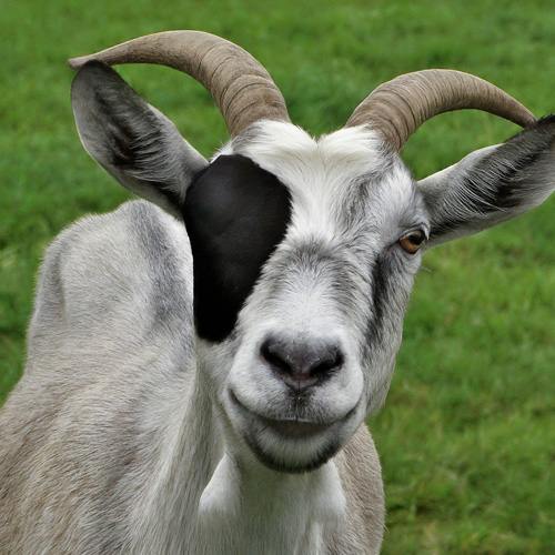 Bard Generated Image 1